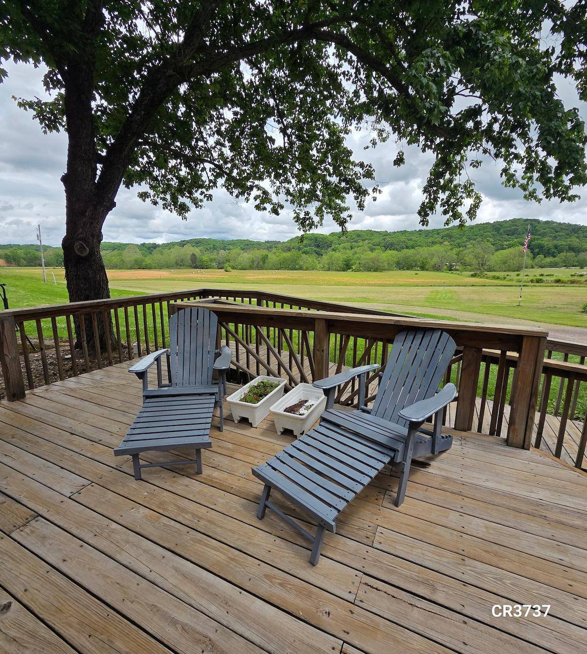 Deck at Wildwood Cabin overlooking the property at Red Brick Ranch, Hocking Hills Ohio